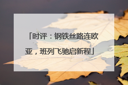 时评：钢铁丝路连欧亚，班列飞驰启新程