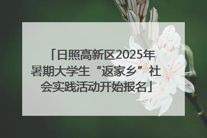 日照高新区2025年暑期大学生“返家乡”社会实践活动开始报名