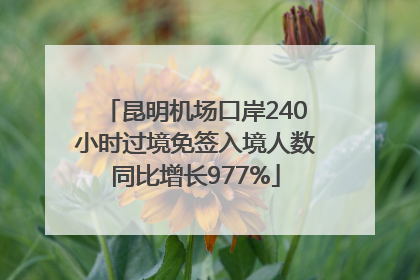 昆明机场口岸240小时过境免签入境人数同比增长977%