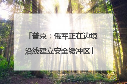 普京：俄军正在边境沿线建立安全缓冲区