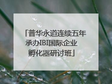 普华永道连续五年承办IBI国际企业孵化器研讨班
