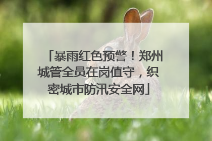 暴雨红色预警！郑州城管全员在岗值守，织密城市防汛安全网