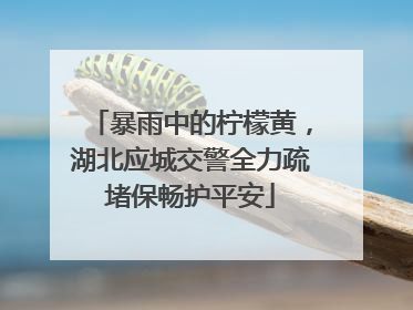 暴雨中的柠檬黄，湖北应城交警全力疏堵保畅护平安