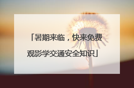 暑期来临，快来免费观影学交通安全知识