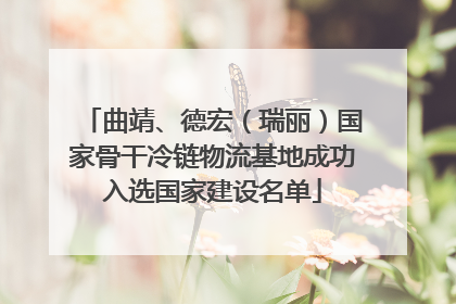曲靖、德宏（瑞丽）国家骨干冷链物流基地成功入选国家建设名单