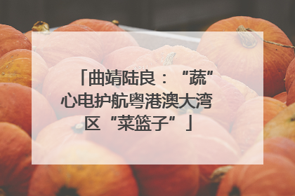 曲靖陆良：“蔬”心电护航粤港澳大湾区“菜篮子”