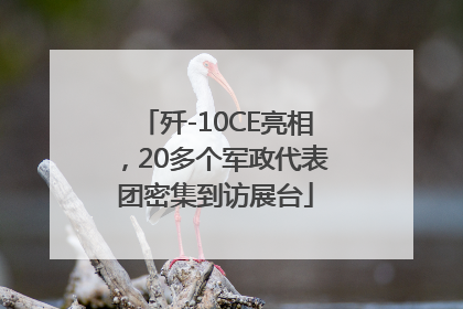 歼-10CE亮相，20多个军政代表团密集到访展台