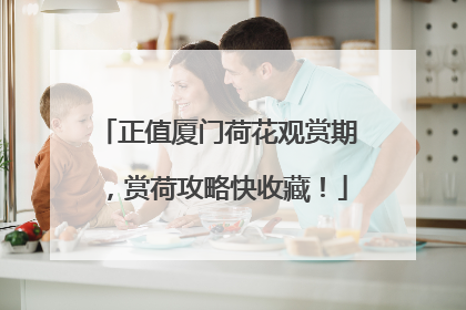 正值厦门荷花观赏期，赏荷攻略快收藏！