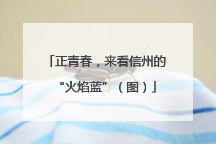 正青春，来看信州的“火焰蓝”（图）