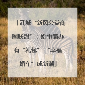 武城“新风公益商圈联盟”：婚事简办有“礼包” “幸福婚车”成新潮