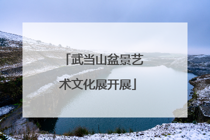 武当山盆景艺术文化展开展