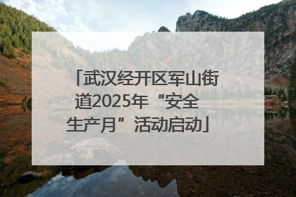 武汉经开区军山街道2025年“安全生产月”活动启动