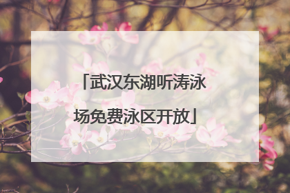 武汉东湖听涛泳场免费泳区开放