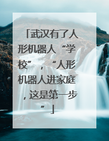 武汉有了人形机器人“学校”，“人形机器人进家庭，这是第一步”