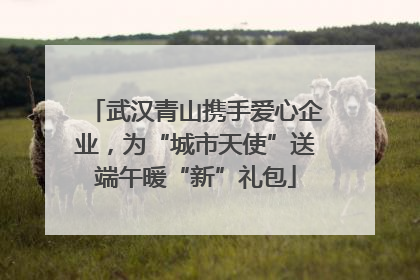 武汉青山携手爱心企业，为“城市天使”送端午暖“新”礼包