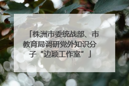 株洲市委统战部、市教育局调研党外知识分子“边颖工作室”