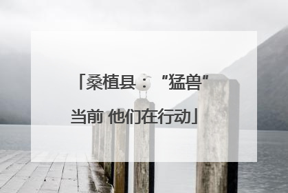桑植县：“猛兽”当前 他们在行动