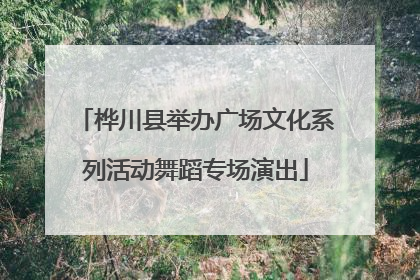 桦川县举办广场文化系列活动舞蹈专场演出