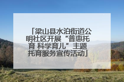 梁山县水泊街道公明社区开展“普惠托育 科学育儿”主题托育服务宣传活动