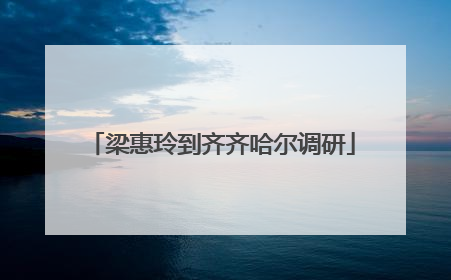 梁惠玲到齐齐哈尔调研