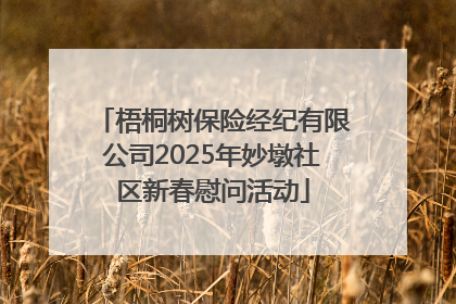 梧桐树保险经纪有限公司2025年妙墩社区新春慰问活动