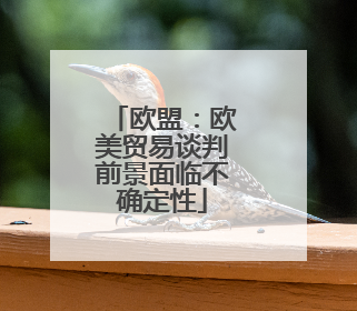 欧盟：欧美贸易谈判前景面临不确定性
