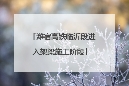 潍宿高铁临沂段进入架梁施工阶段