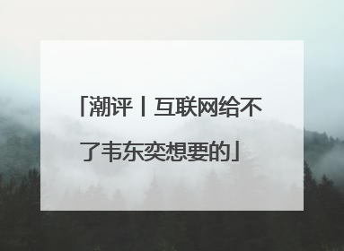 潮评丨互联网给不了韦东奕想要的