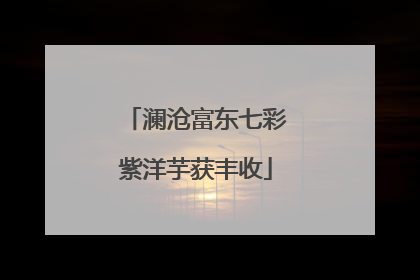 澜沧富东七彩紫洋芋获丰收
