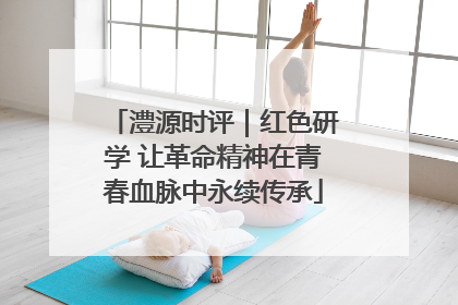 澧源时评｜红色研学 让革命精神在青春血脉中永续传承