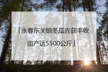 永春东关镇冬瓜喜获丰收 亩产达5500公斤