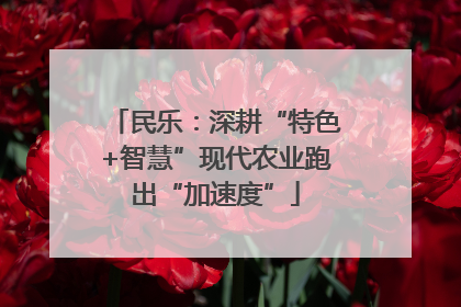 民乐：深耕“特色+智慧”现代农业跑出“加速度”
