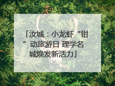 汝城：小龙虾“钳”动旅游日 理学名城焕发新活力