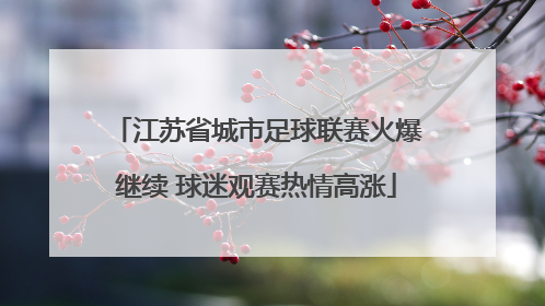 江苏省城市足球联赛火爆继续 球迷观赛热情高涨