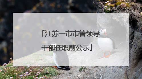 江苏一市市管领导干部任职前公示
