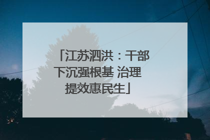 江苏泗洪：干部下沉强根基 治理提效惠民生