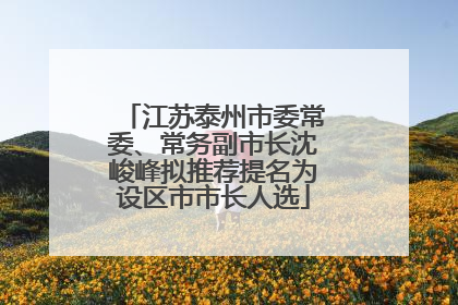 江苏泰州市委常委、常务副市长沈峻峰拟推荐提名为设区市市长人选
