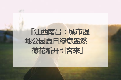江西南昌：城市湿地公园夏日绿意盎然 荷花渐开引客来