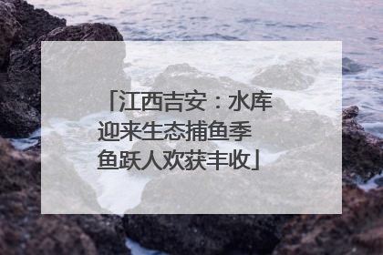 江西吉安：水库迎来生态捕鱼季 鱼跃人欢获丰收
