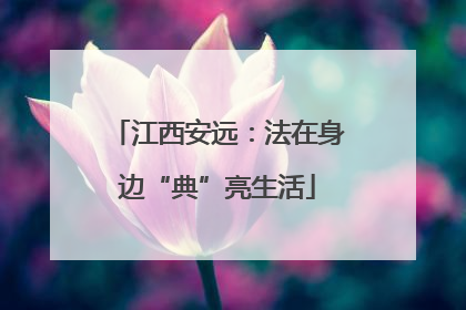 江西安远：法在身边“典”亮生活