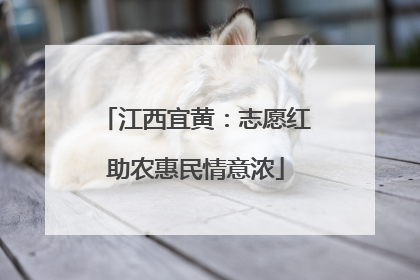 江西宜黄：志愿红助农惠民情意浓