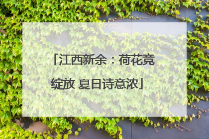 江西新余：荷花竞绽放 夏日诗意浓