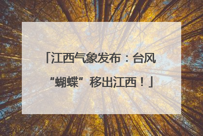 江西气象发布：台风“蝴蝶”移出江西！