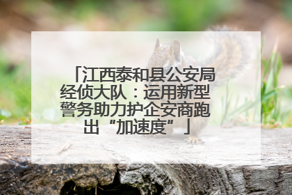 江西泰和县公安局经侦大队：运用新型警务助力护企安商跑出“加速度”