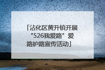 沾化区黄升镇开展“526我爱路”爱路护路宣传活动