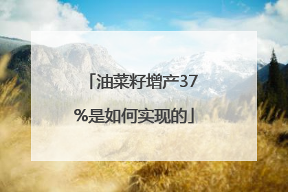 油菜籽增产37%是如何实现的