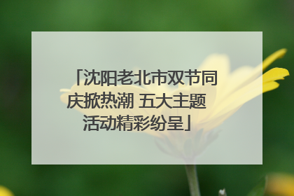沈阳老北市双节同庆掀热潮 五大主题活动精彩纷呈