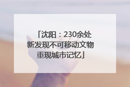 沈阳：230余处新发现不可移动文物重现城市记忆