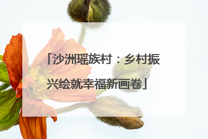 沙洲瑶族村：乡村振兴绘就幸福新画卷