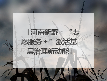 河南新野：“志愿服务＋”激活基层治理新动能